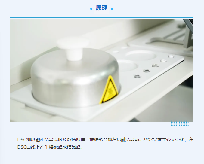 微信图片_2025-06-30_155015_991.png