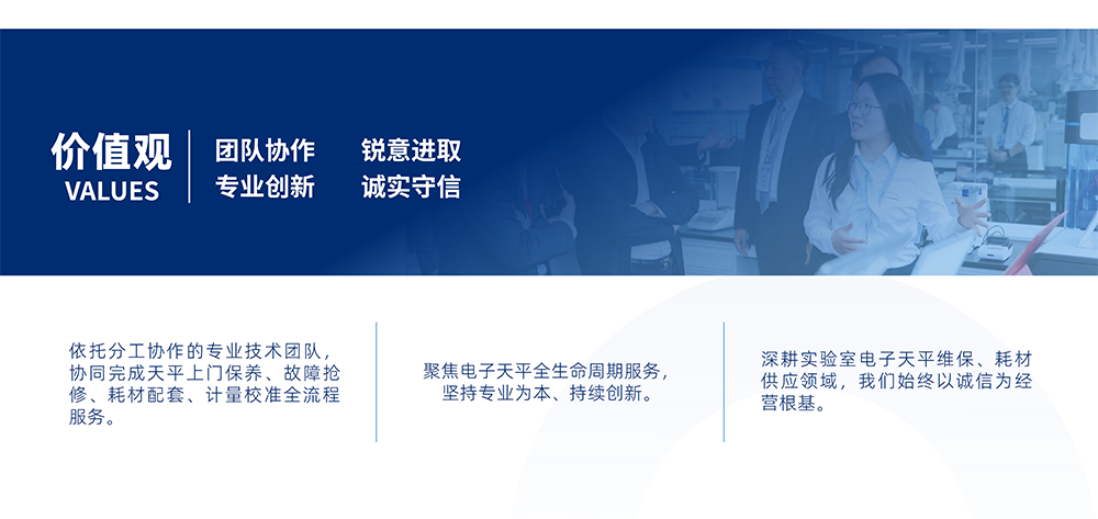 Precisa_价值观.png